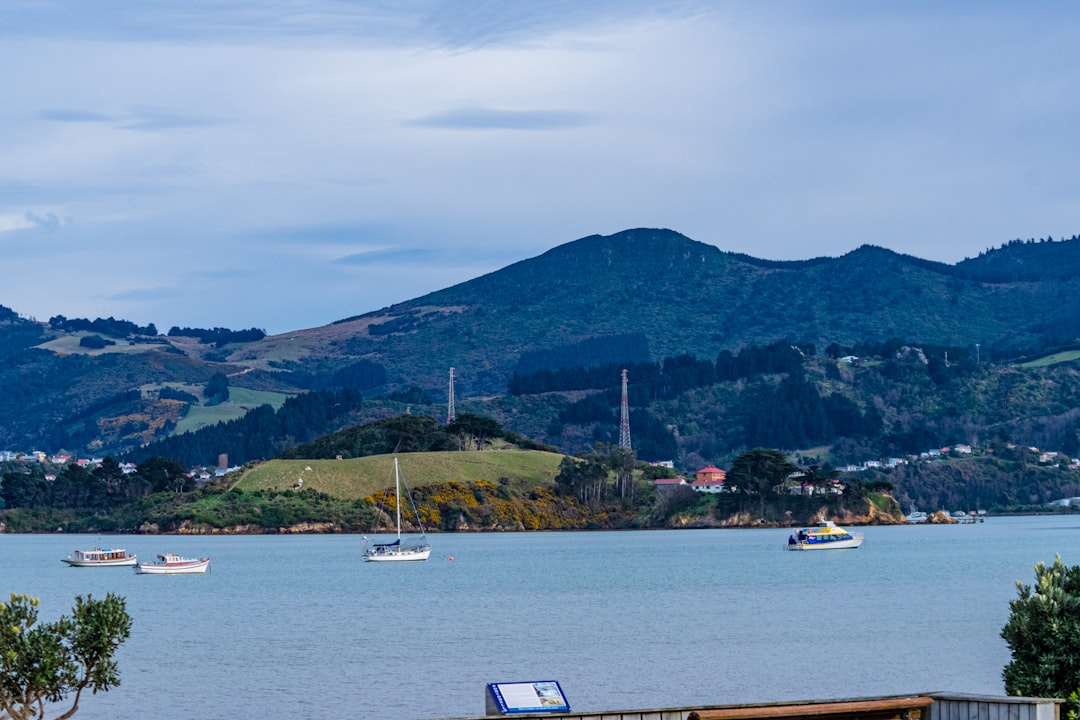 How Dunedin Businesses Are Using Digital Marketing and AI to Win More Local Customers in 2026
