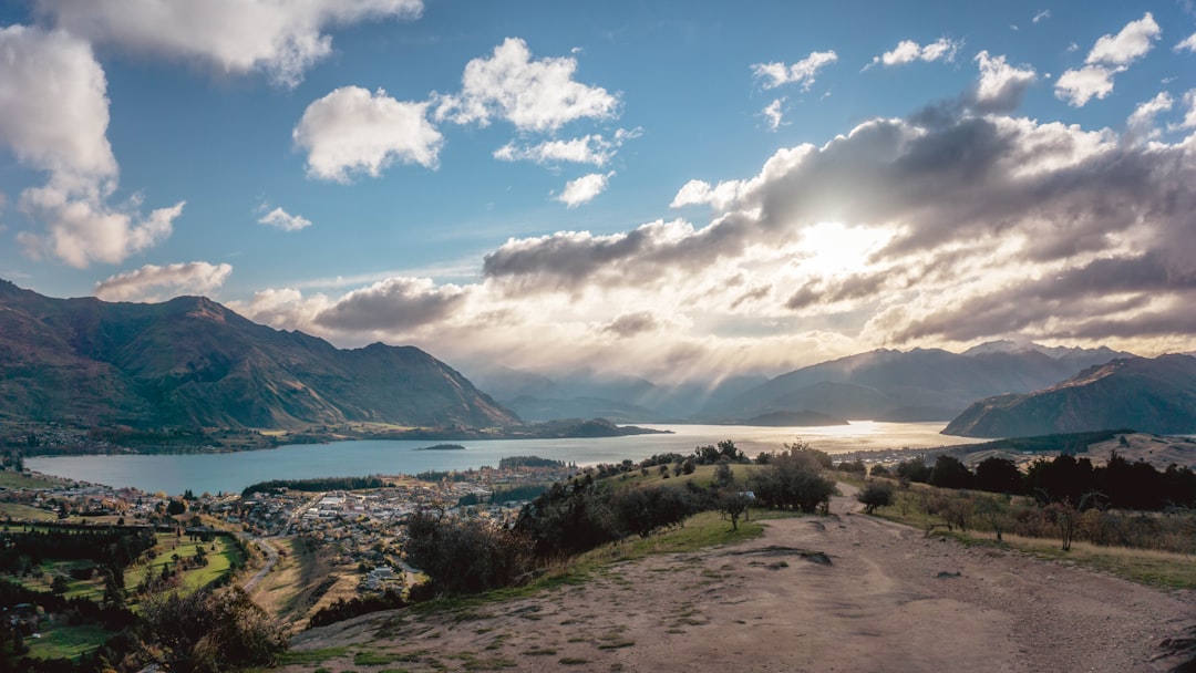 How Everyday NZ Business Owners Are Using Technology to Punch Above Their Weight